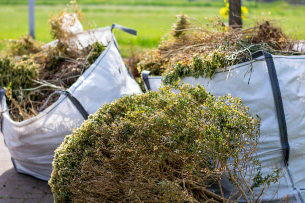 Trusted Raytown, MO Junk Removal Experts